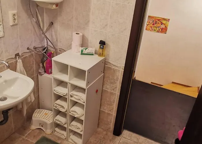 къща за гости Bor,