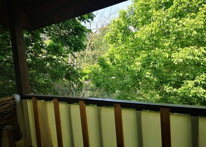 къща за гости Bor, Guest house *