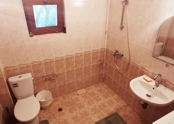 Guest house къща за гости Bor,